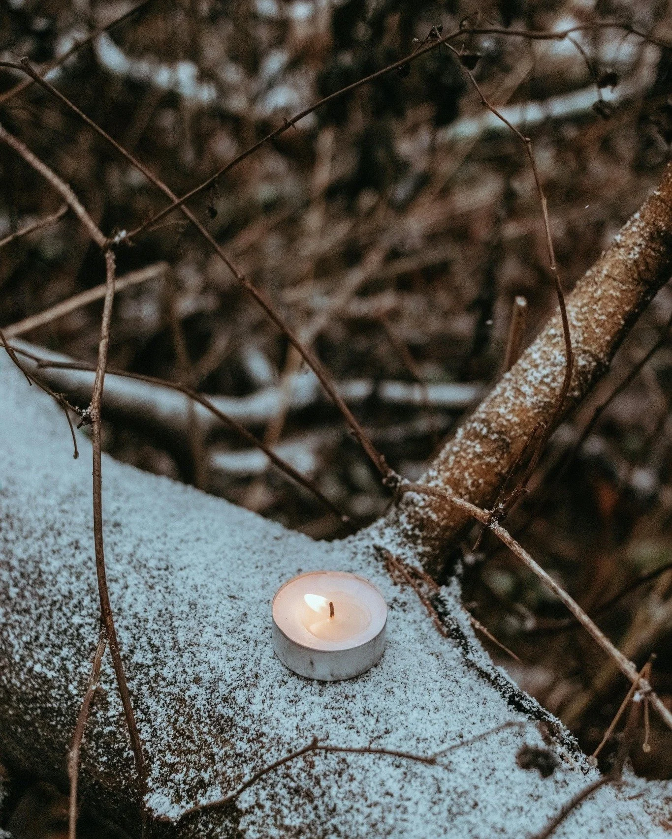 𝗪𝗵𝘆 𝗱𝗼 𝘄𝗲 "𝗦𝗲𝘁𝘁𝗹𝗲"?

In our busy lives, we are often taught that movement is only valuable if it&rsquo;s "productive." But in the tradition of restorative practice, the most productive thing we can do is let the nervo