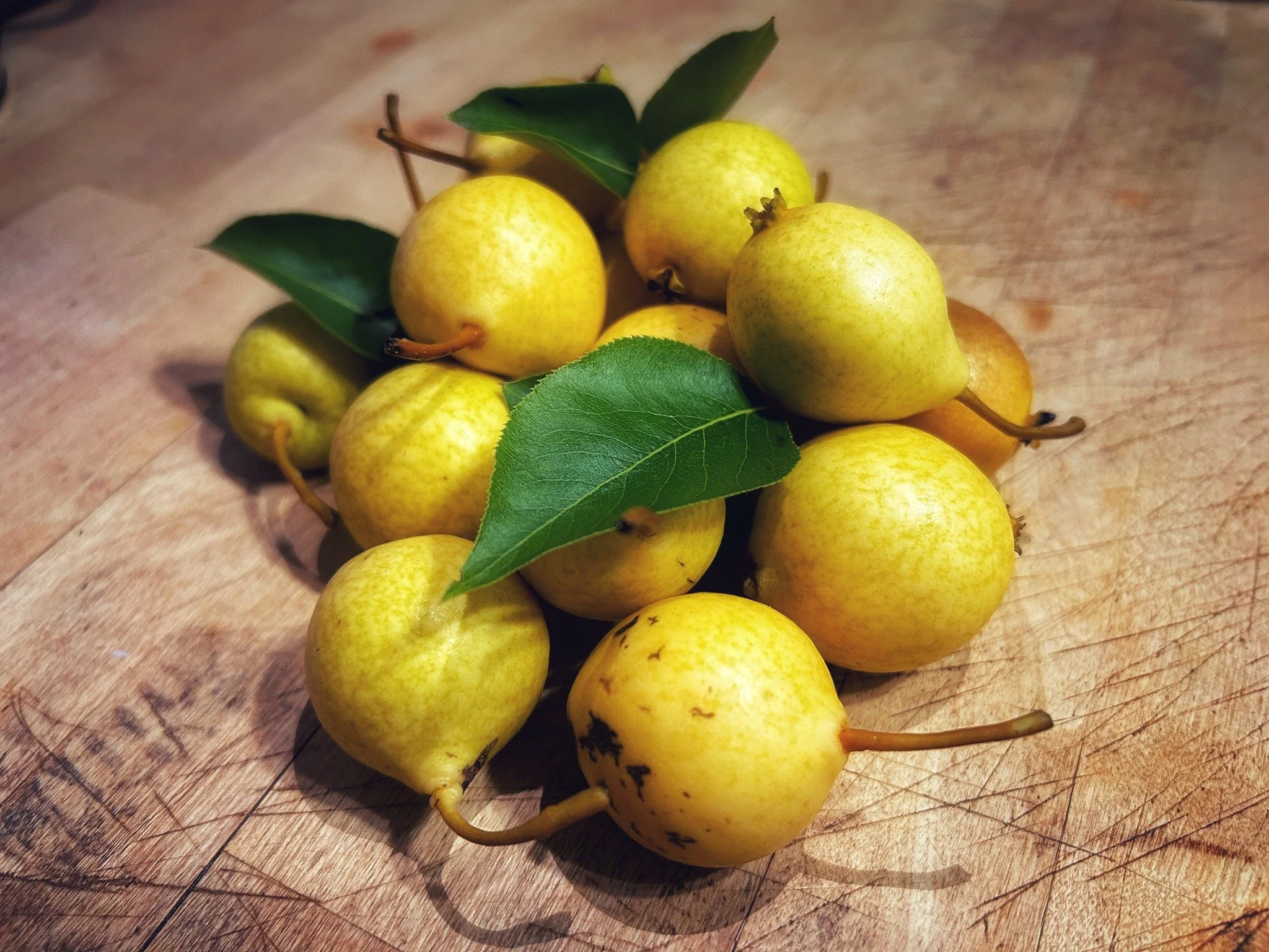 Sometimes the confines

become just too much.

Too much to keep remembering

to keep track of which lines

we should and should not

cross. Sometimes

the compartments

won't stay tidy&mdash;one thing

seeps into another, things mix

in unexpected wa