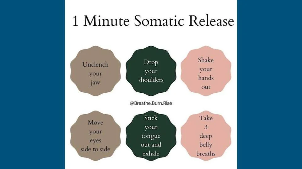 𝗖𝗵𝗲𝗰𝗸𝗶𝗻𝗴 𝗶𝗻 𝗳𝗼𝗿 𝗷𝘂𝘀𝘁 𝗮 𝗺𝗼𝗺𝗲𝗻𝘁...

This 1 𝘔𝘪𝘯𝘶𝘵𝘦 𝘚𝘰𝘮𝘢𝘵𝘪𝘤 𝘙𝘦𝘭𝘦𝘢𝘴𝘦 is a simple way to communicate safety to your brain through your body.

 ⦂ Unclench your jaw 
 ⦂ Drop your shoulders 
 ⦂ Shake your hands 
 ⦂ 