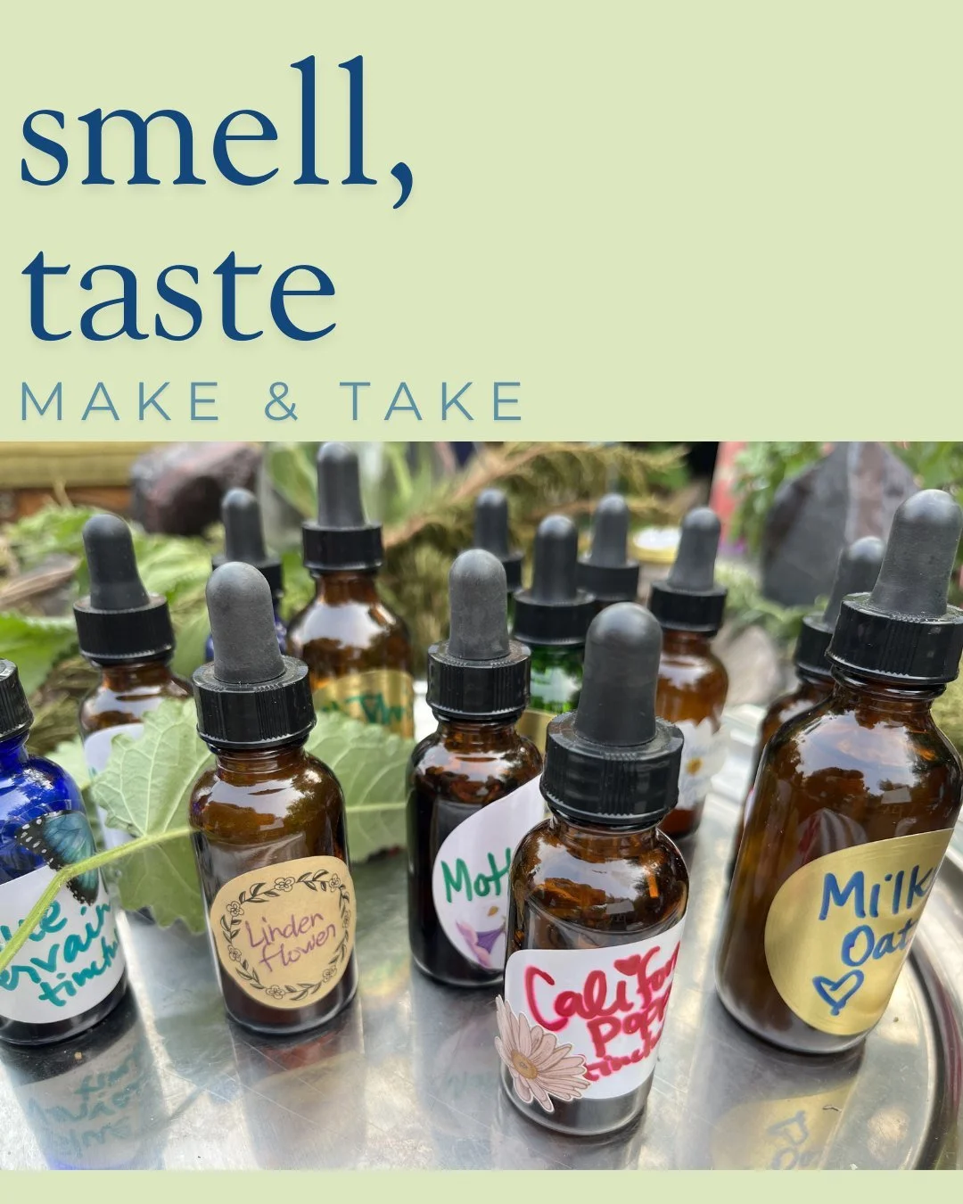 ❊ 𝗦𝗽𝗿𝗶𝗻𝗴! 𝗛𝗲𝗿𝗯𝘀 𝗶𝗻 𝗠𝗮𝘆 ❊
Celebrate the arrival of May by connecting with the vibrant plants and greenery around us. Join us for a sensory experience where we&rsquo;ll taste, smell, and learn from the local flora. You&rsquo;ll discover