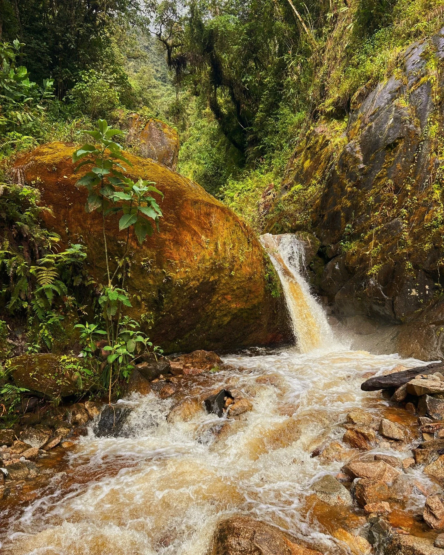 ✨
I believe in living.
I believe in the spectrum
of Beta days and Gamma people.
I believe in sunshine.
In windmills and waterfalls,
tricycles and rocking chairs.
And i believe that seeds grow into sprouts.
And sprouts grow into trees.
I believe in th