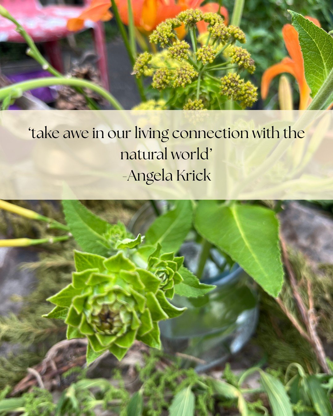 Be in awe together, in community.

Wednesdays, May 6-27
with Angela Krick
at Sv&auml;lja Whole-Being

More info + register from link in bio