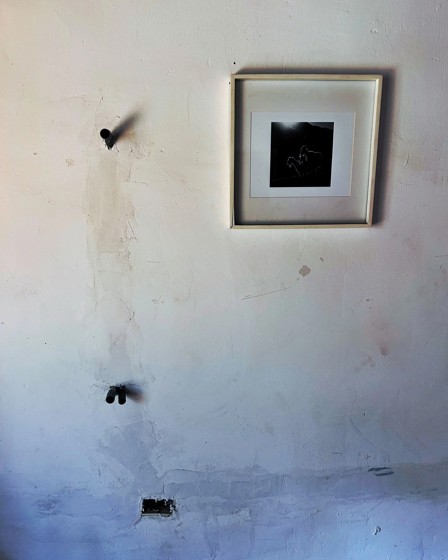 ✨
Sometimes simplicity rises
like a blossom of fire
from the white silk of your own skin.

You were there in the beginning
you heard the story, you heard the merciless
and tender words telling you where you had to go.

Exile is never easy and the jou