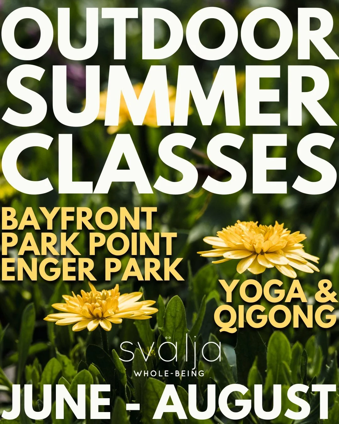 ☀🔅 
Here we gooooo...𝘀𝘂𝗺𝗺𝗲𝗿 𝗶𝗻 𝗗𝗨𝗟𝗨𝗧𝗛!! 🔅☀

@kyle.leia 
@miribeach 
@padma_duluth 
@grains_of_stars 
@horvathkate 
@phoebecamille