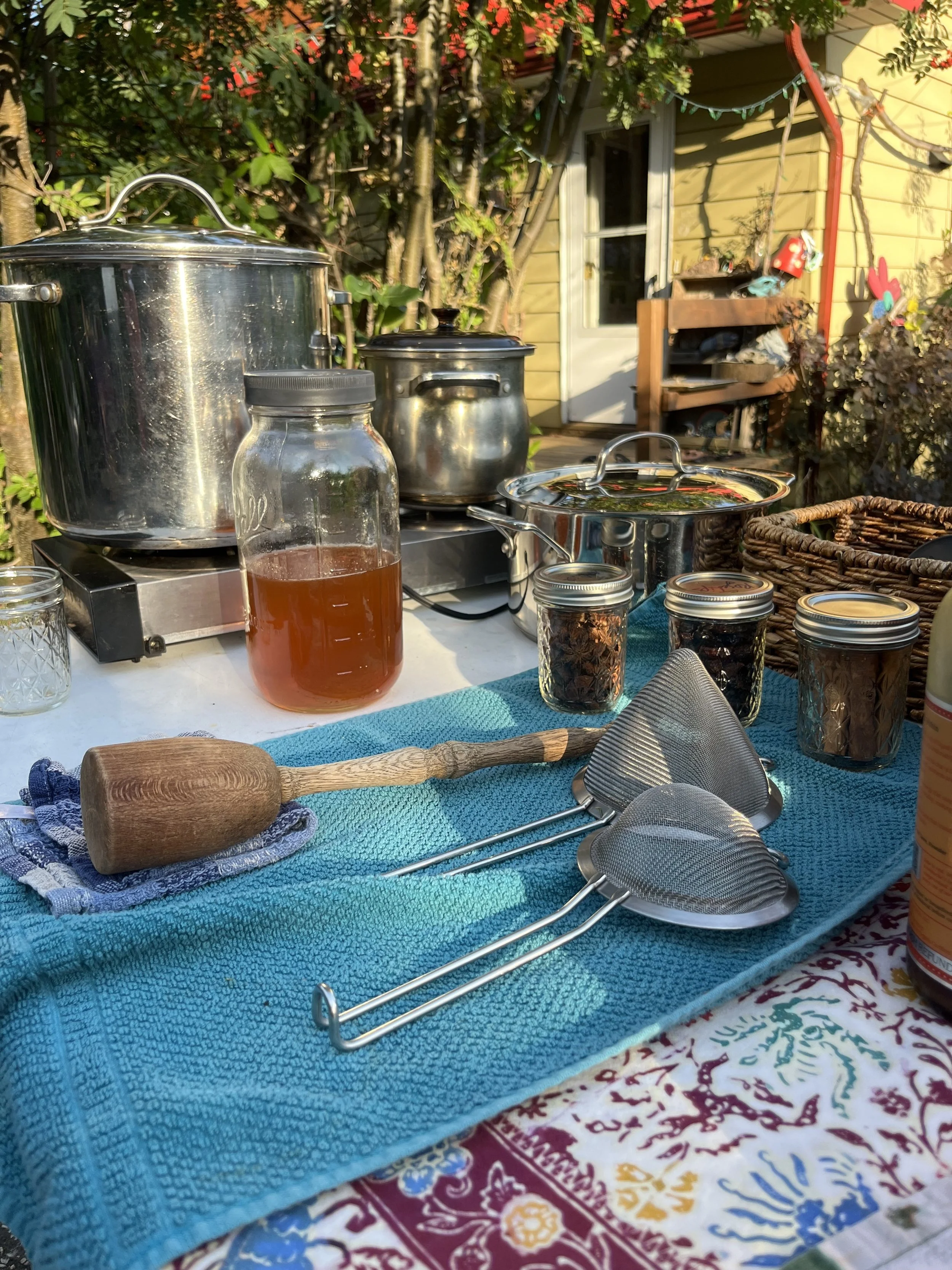 October Has Roots: A Series in Herbalism &amp; Seasonal Wisdom
