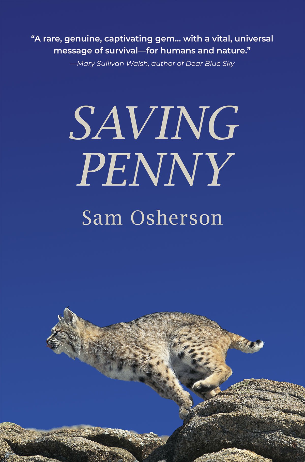 Saving Penny-Cover.jpg