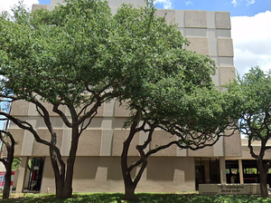 Clinic Locations — MaxHealth Family, Internal & Sports Medicine