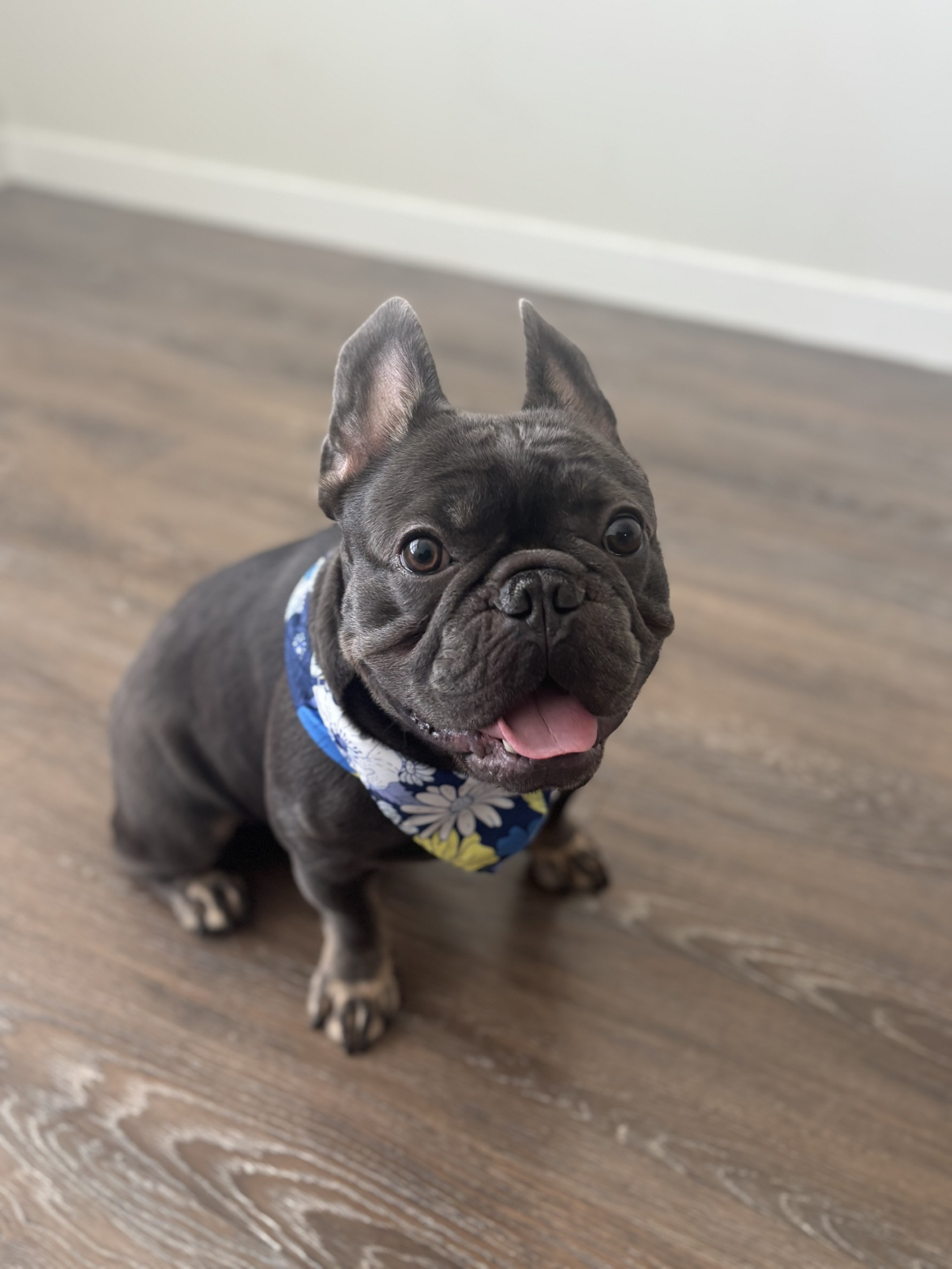 Baxter