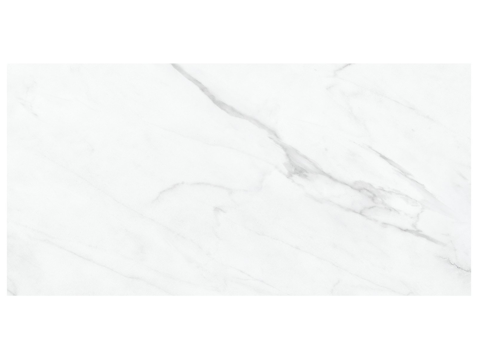 12x24_Altezza_Carrara_HD_Porcelain_Tile_Revised.jpg