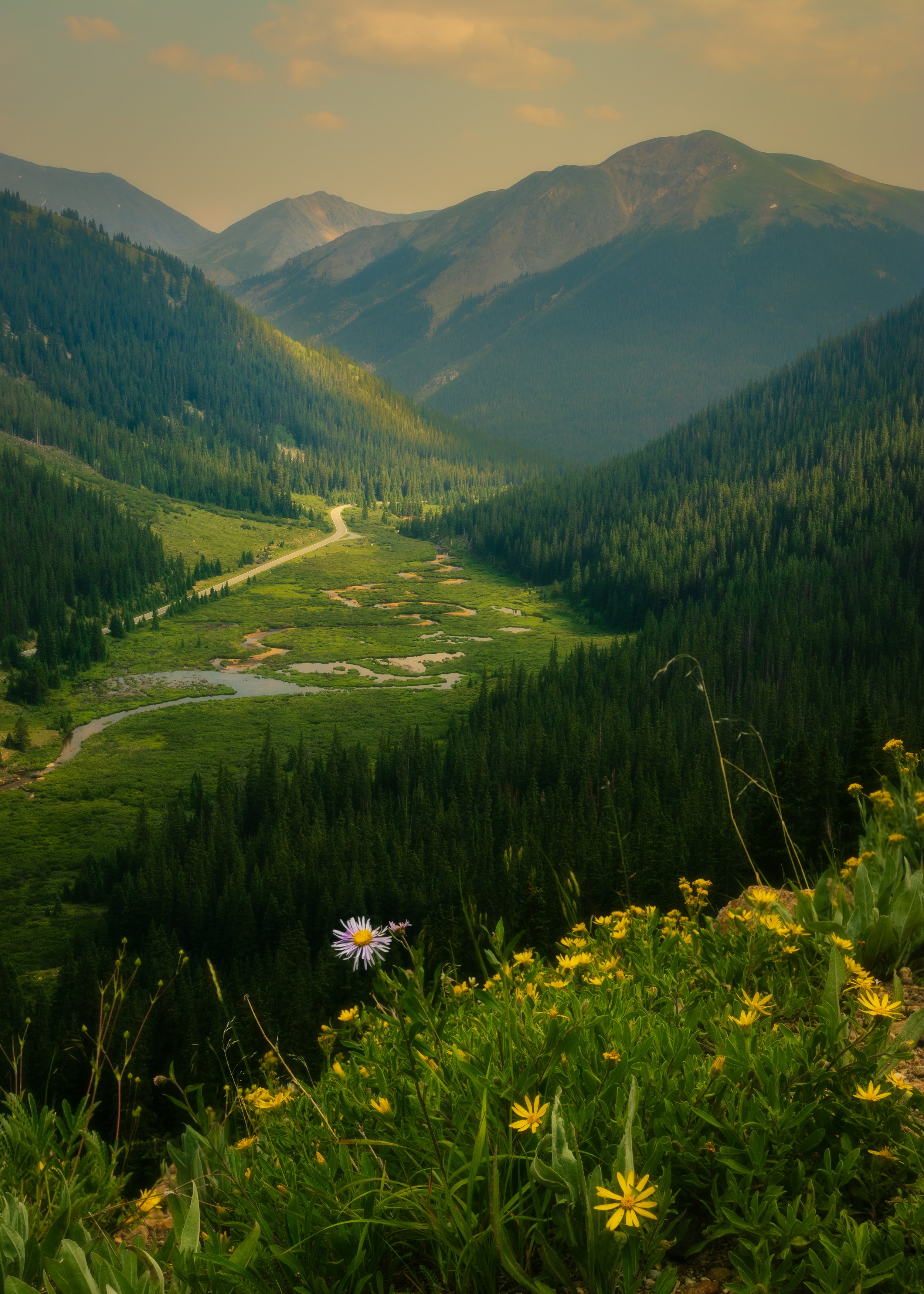 20210719-_MG_0717-Edit-Edit.jpg