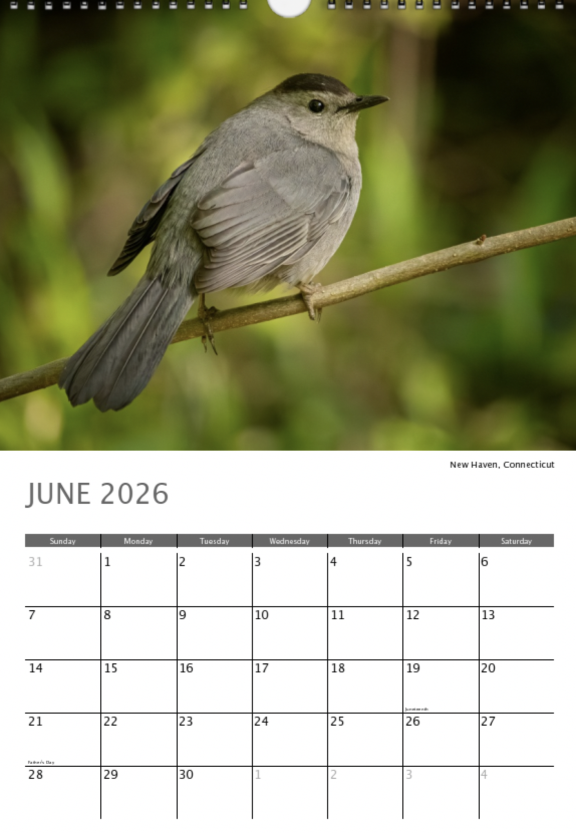 june.png