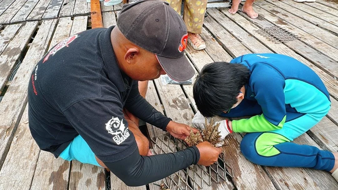 From Destruction To Restoration: Healing Our Reefs