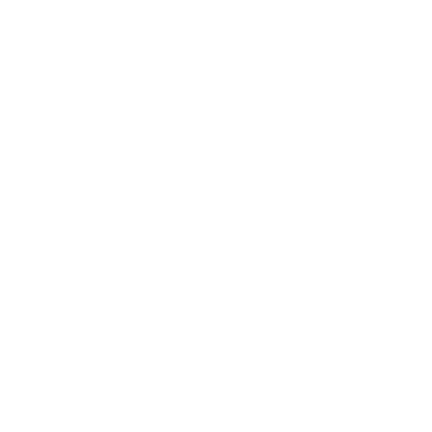 Obidos Consulting