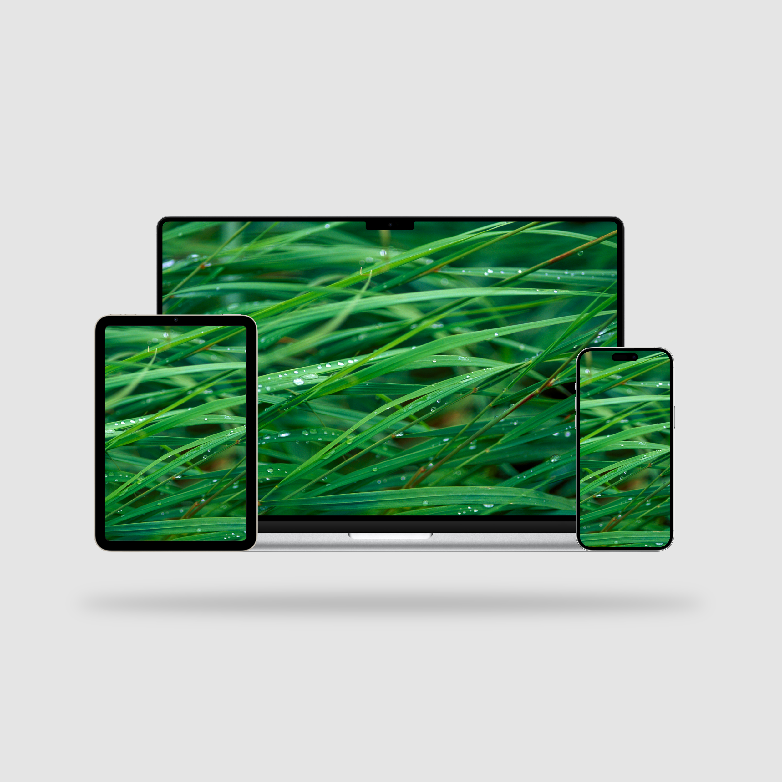 Grass Touch on X:  / X