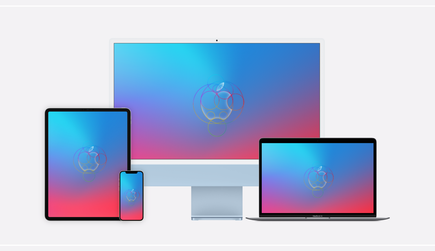 Apple Anatomy — Basic Apple Guy
