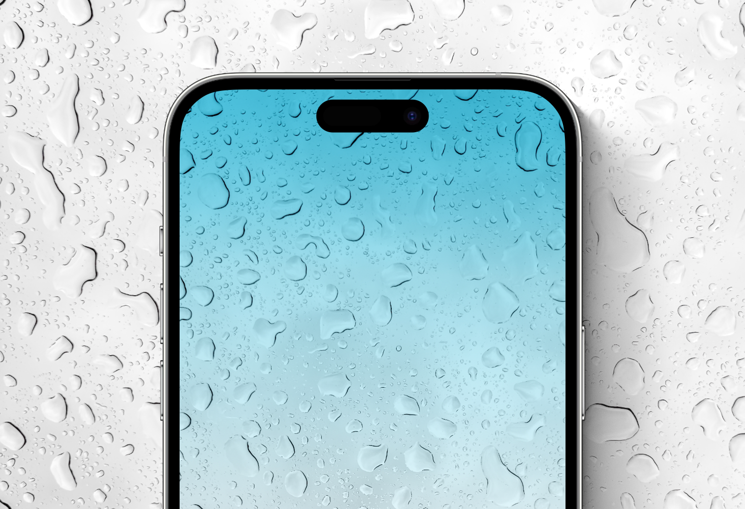 Download iPhone 11 wallpapers for your iPhone  AppleMagazine