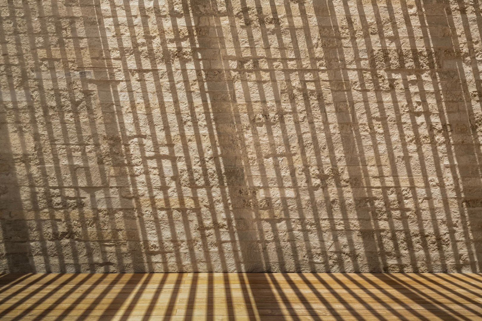 Apple Park Shadows