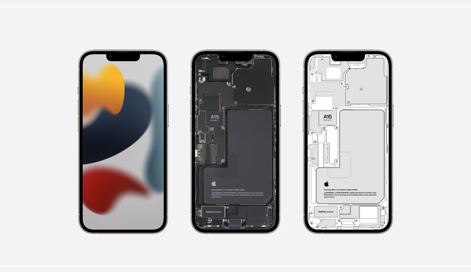 Get a look inside your iPhone 12 with iFixits new Xray and internal  wallpapers  9to5Mac