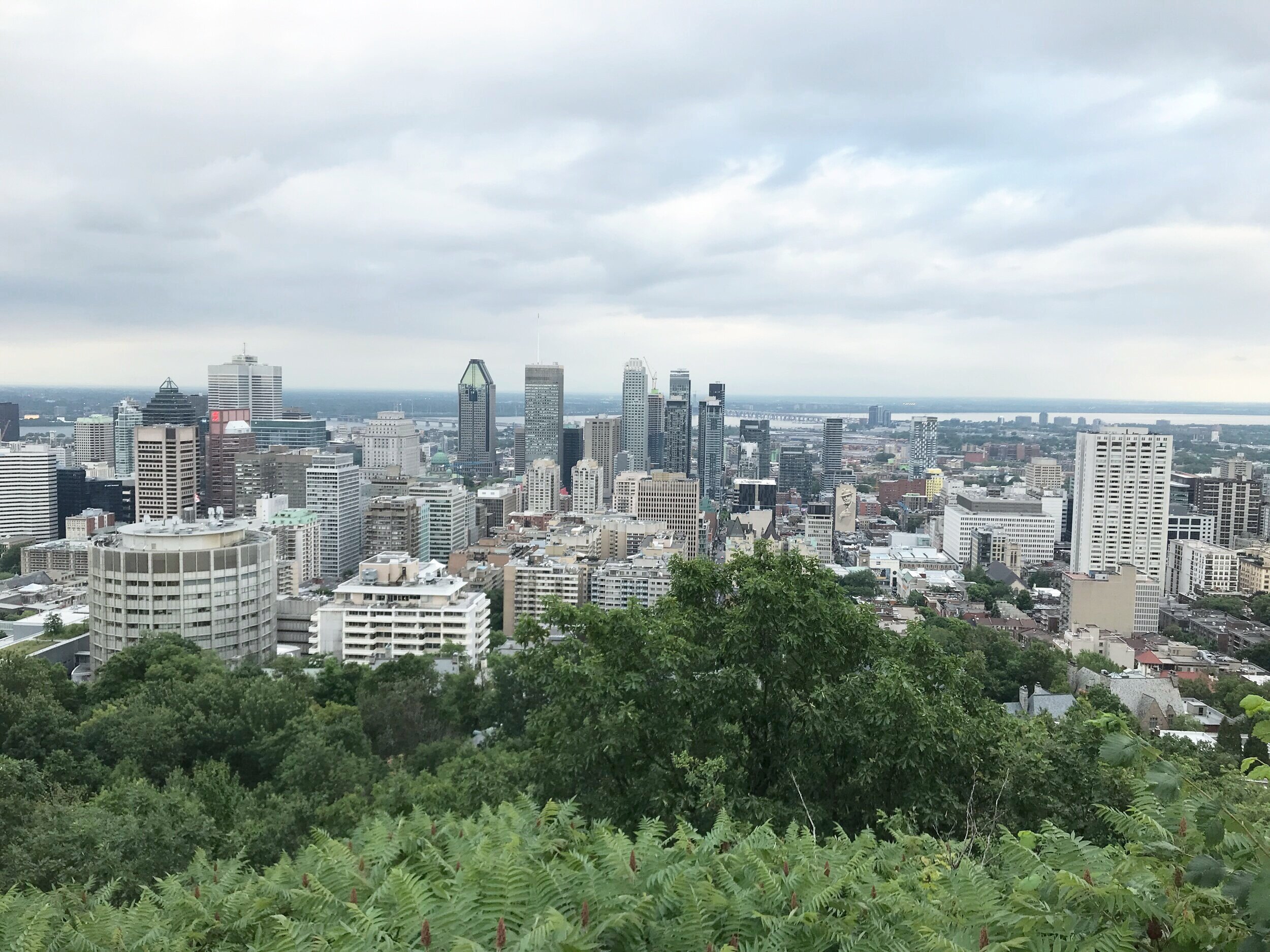 Check out the skyline of Montreal, Canada