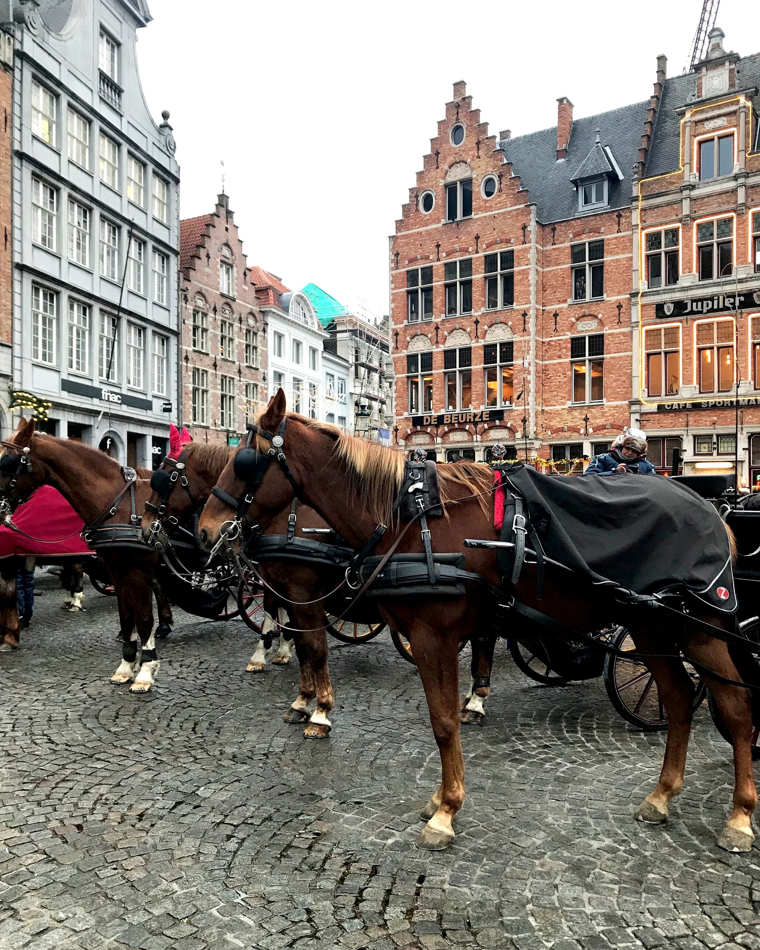Step back in time with Horse-drawn carriages on the cobblestone streets. Enjoy the charming atmosphere! 