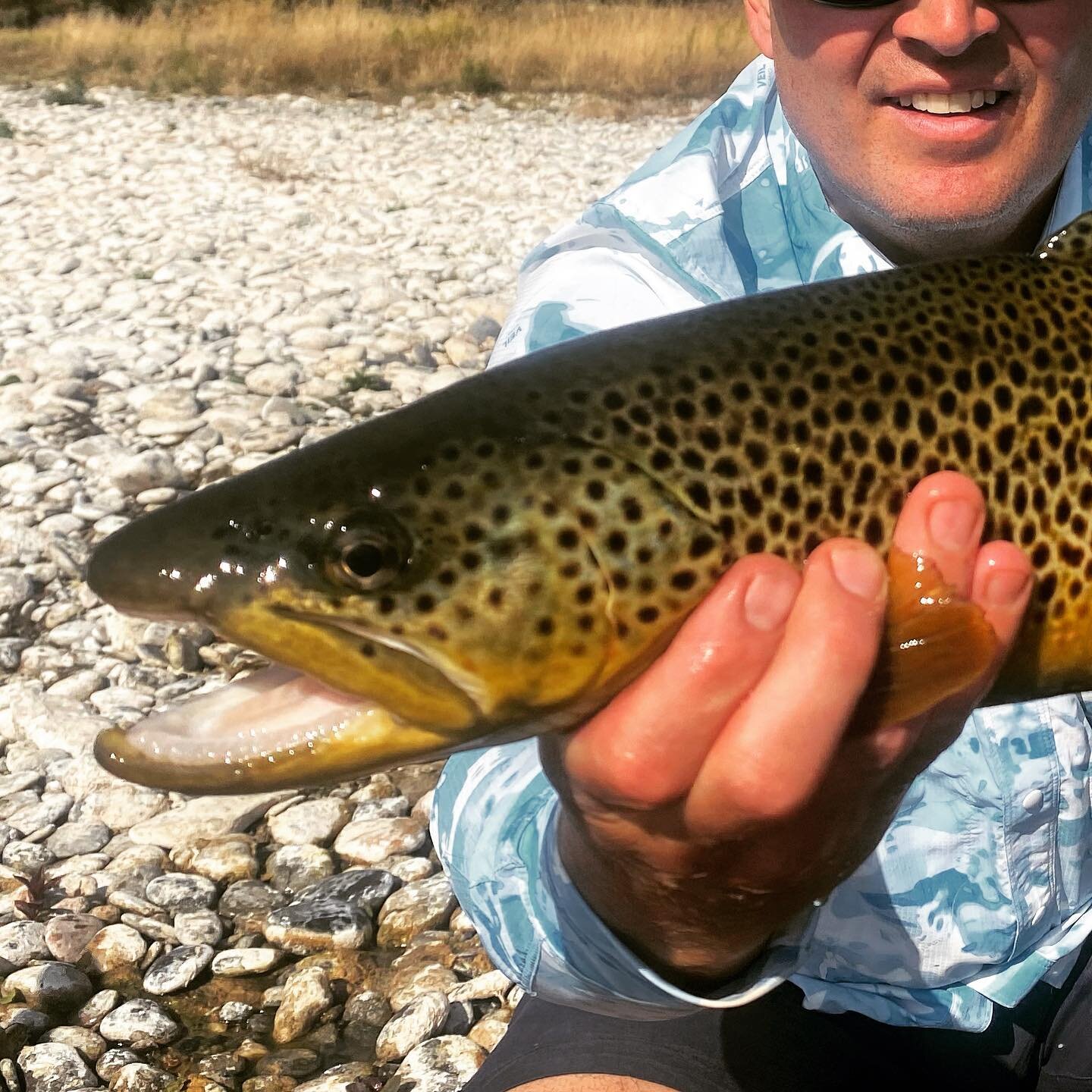 Fishing season will be here before you know it so book your day in the Sun now! Lots of availability left but dry fly season is booing up fast! DM or call to book.