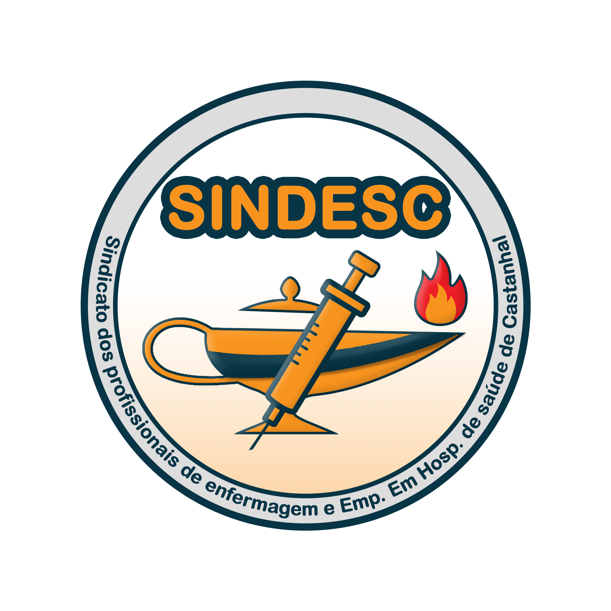 LOGO SINDESC.png