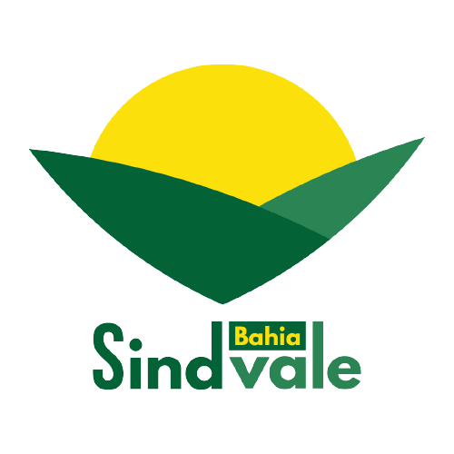 LOGO_ATUALIZADA_SindVale-Bahia-1-removebg-preview.png