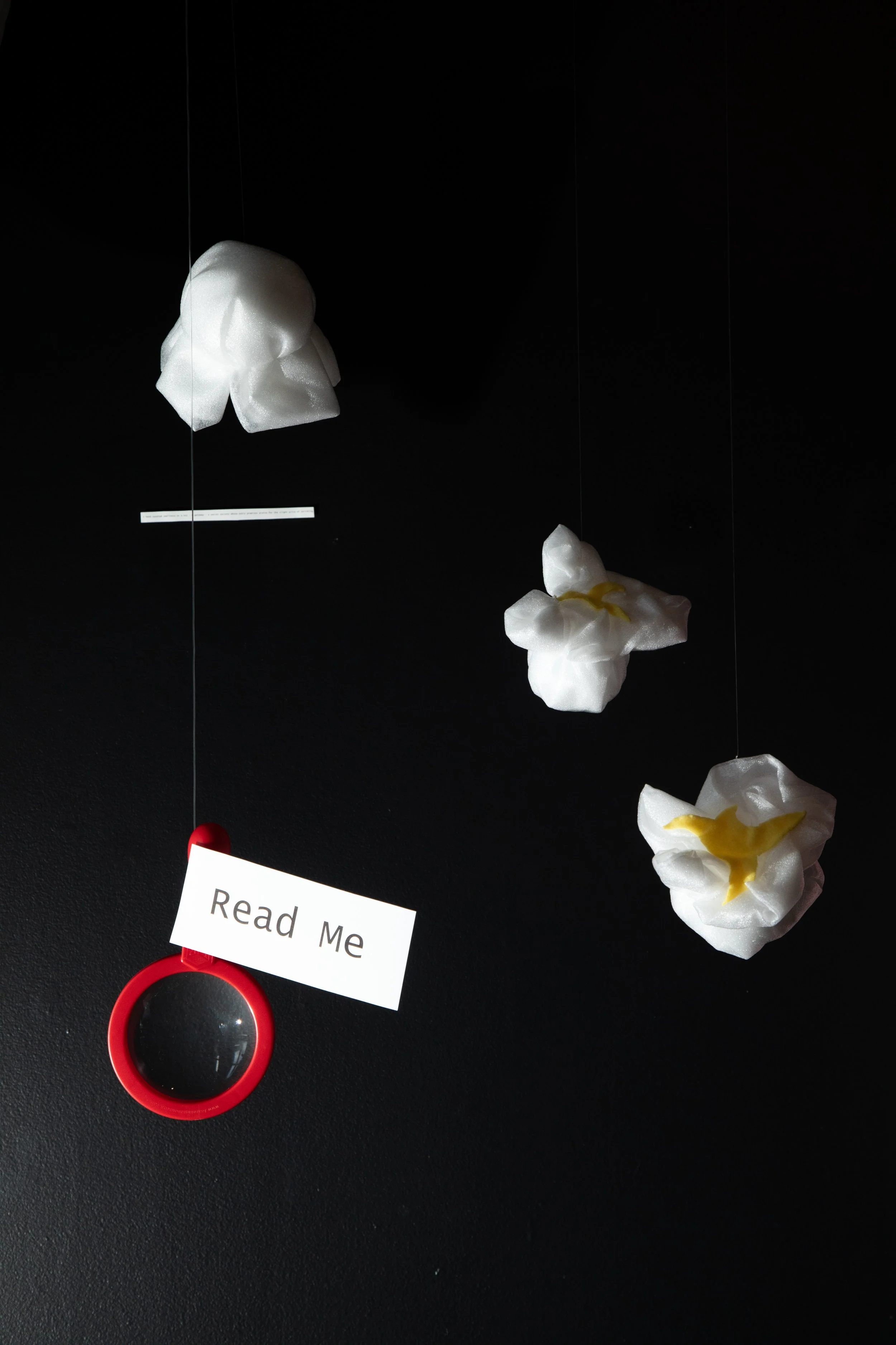 feelsmall-29.jpg