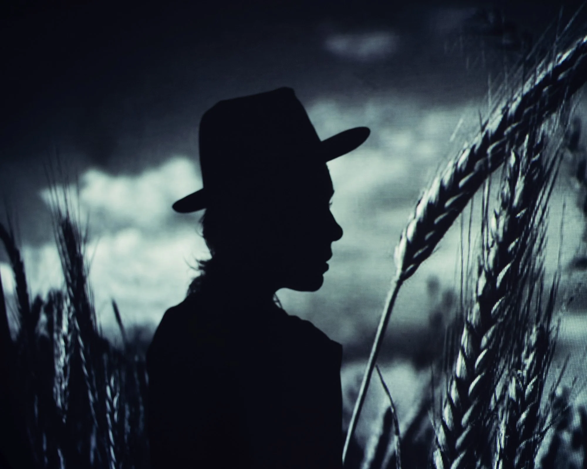 mcentire_shadow.jpg