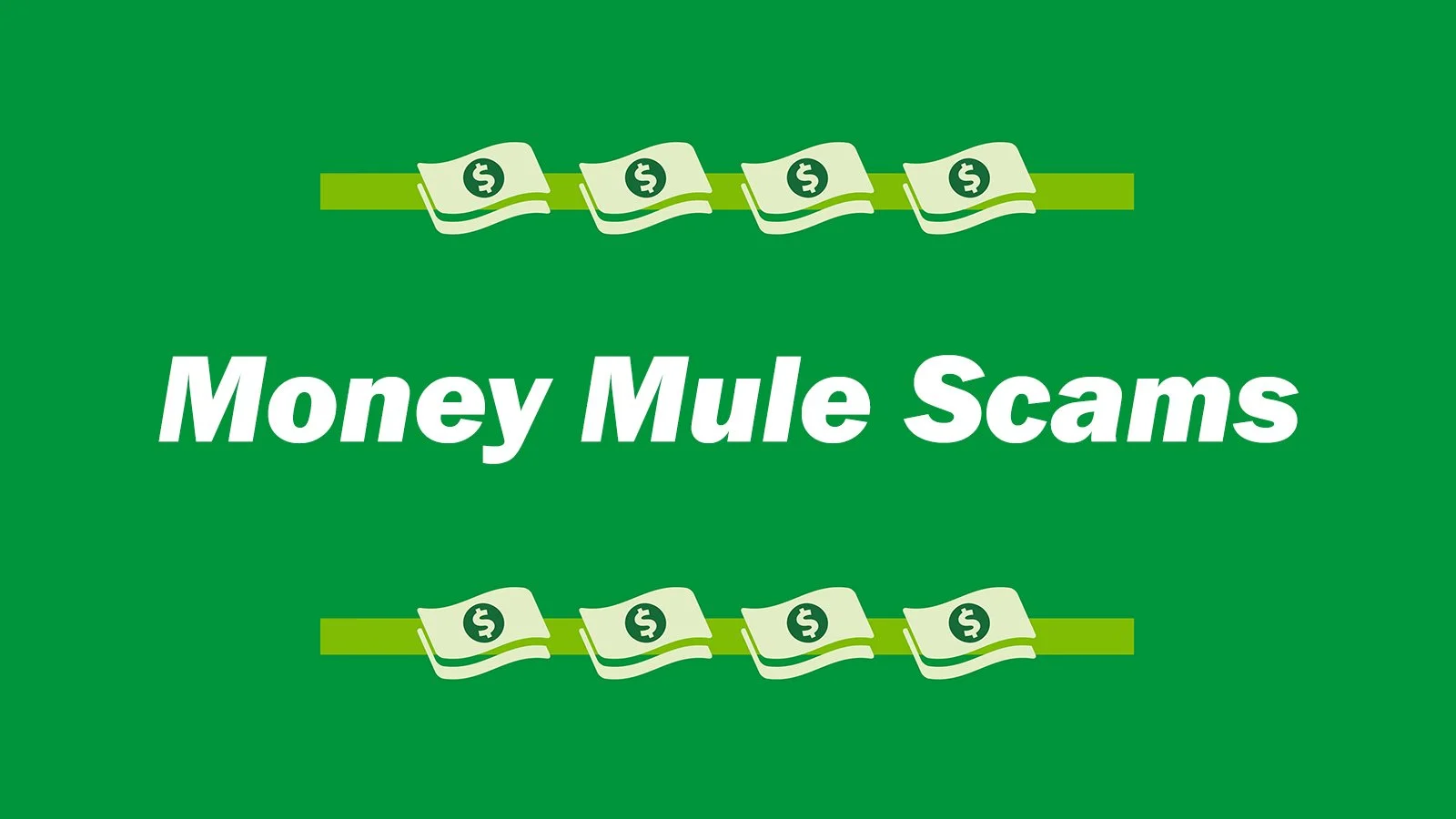 Money Mule Scams Graphic Wide.jpg