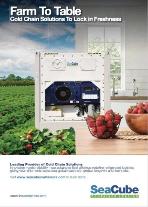 BSYA+1206+Seacube+WCN+254mm+HIGH+x+178mm+WIDE+Strawberry.jpg