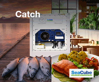 BSYA-1213-MPU-336x280px-Salmon.gif