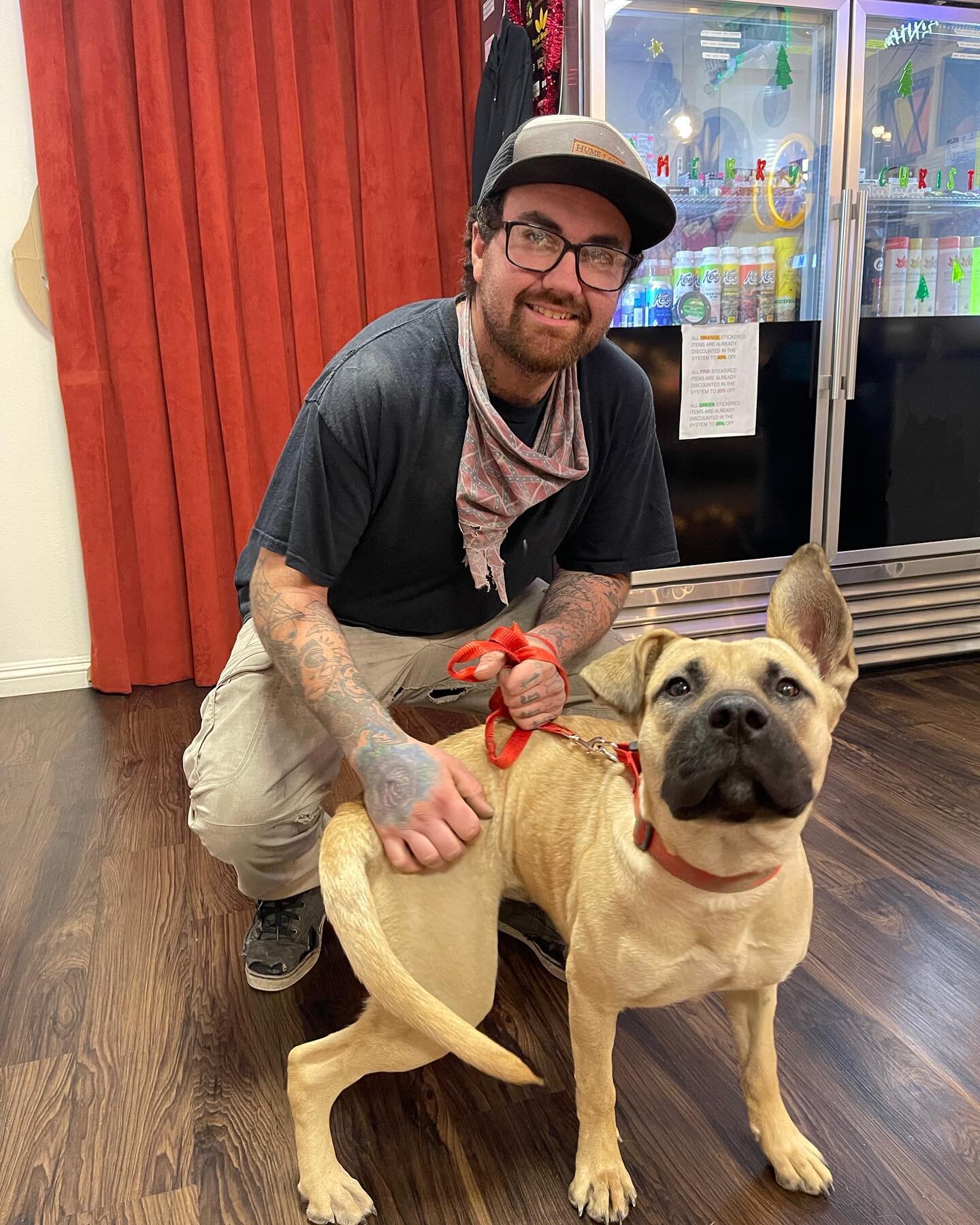 Happy to see our customer with his best friend! 🐕 Dogs are always welcome here at #royalhealingemporium #sundayvibes
