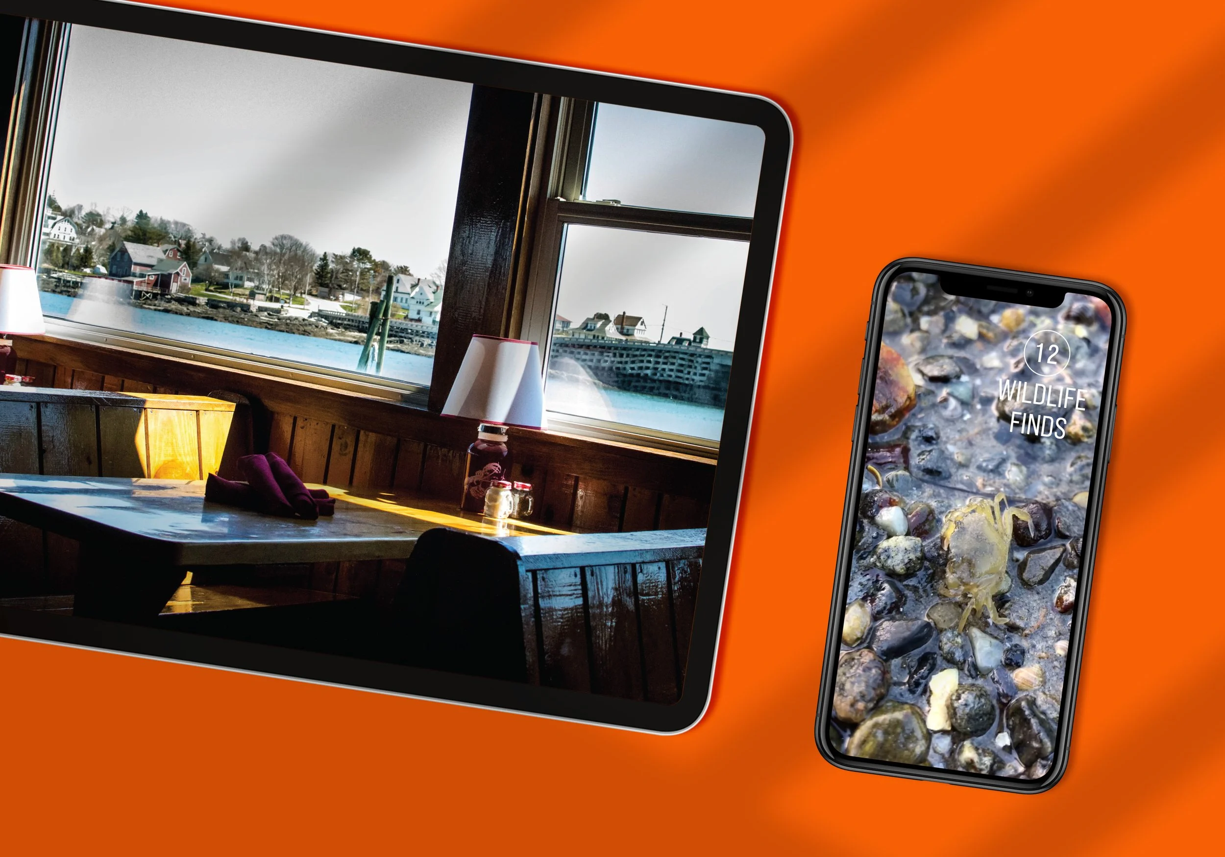 Social Media Reel + Email Content Creation: Michele Frye of Design Du Jour for Bailey Island Motel