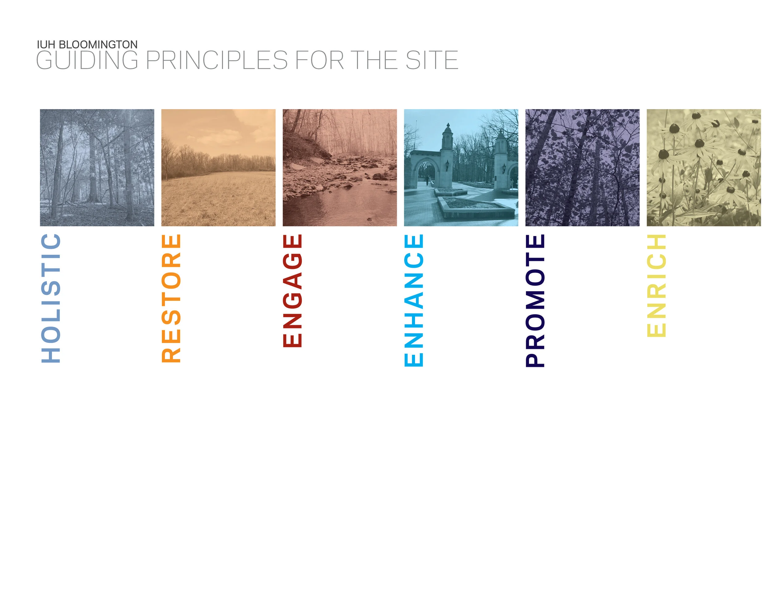 20160304_site analysis3.jpg