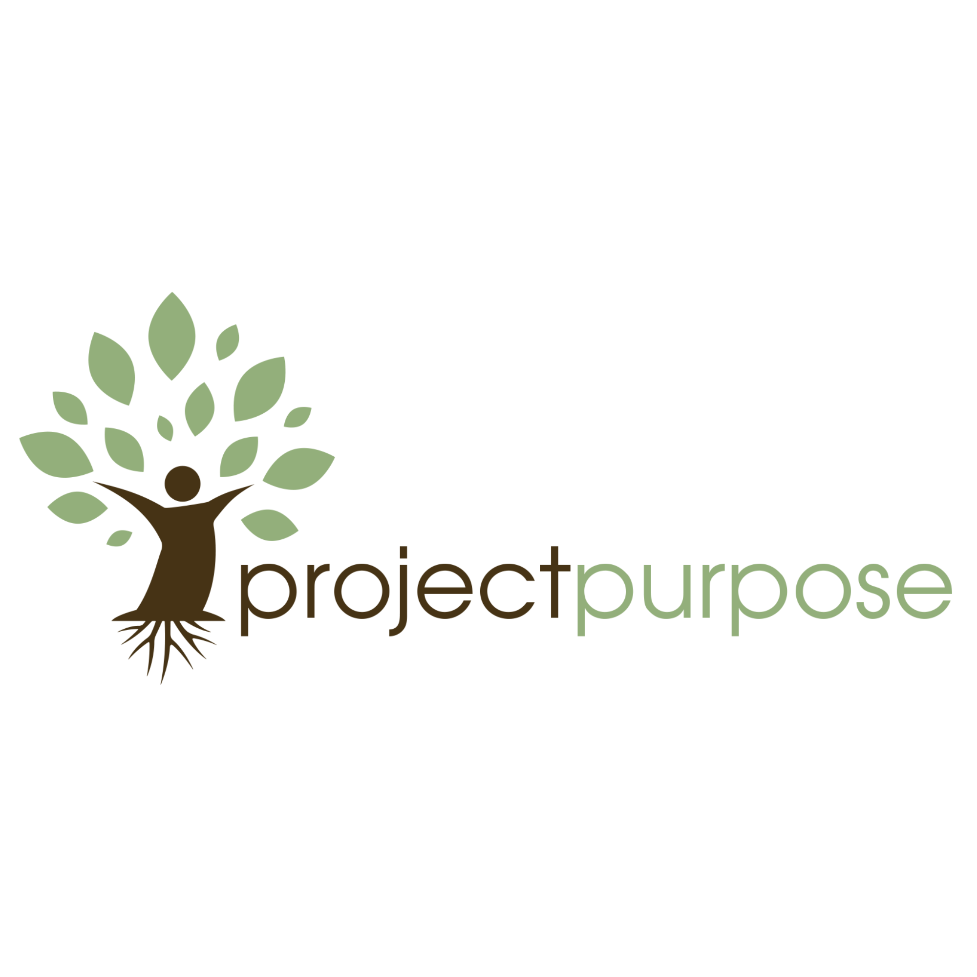Project Purpose