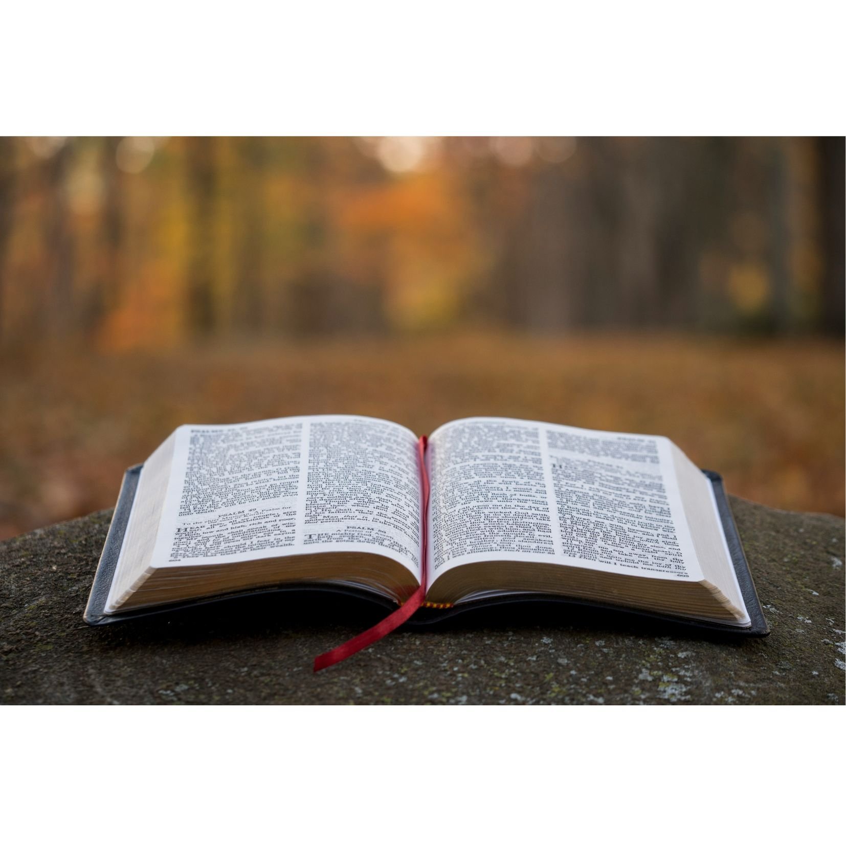 Saturday Morning Men's Bible Study