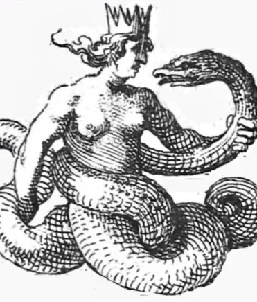 Eco-Entanglements: Ruin, Grafting, Stratification