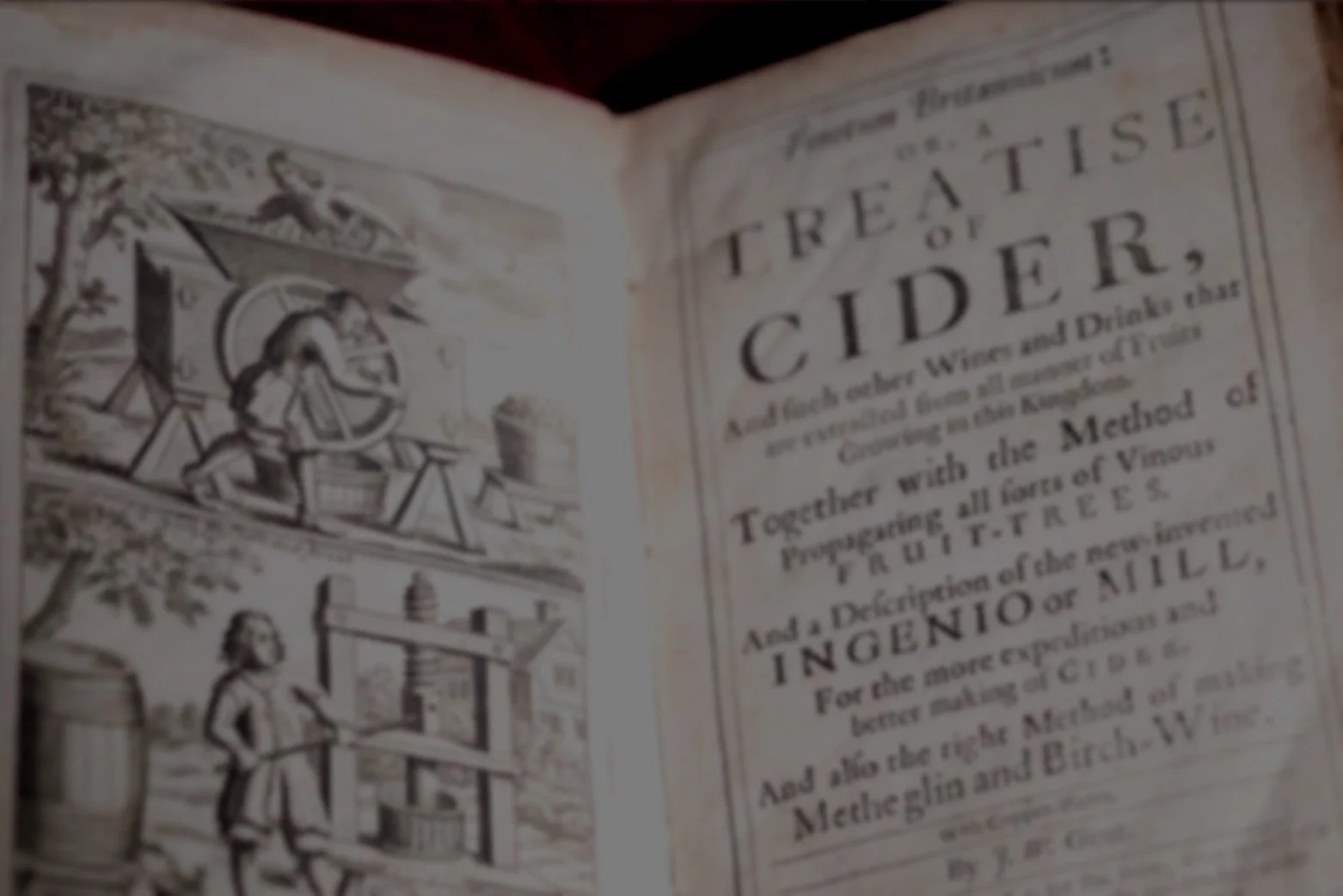 Cider & Fermentation