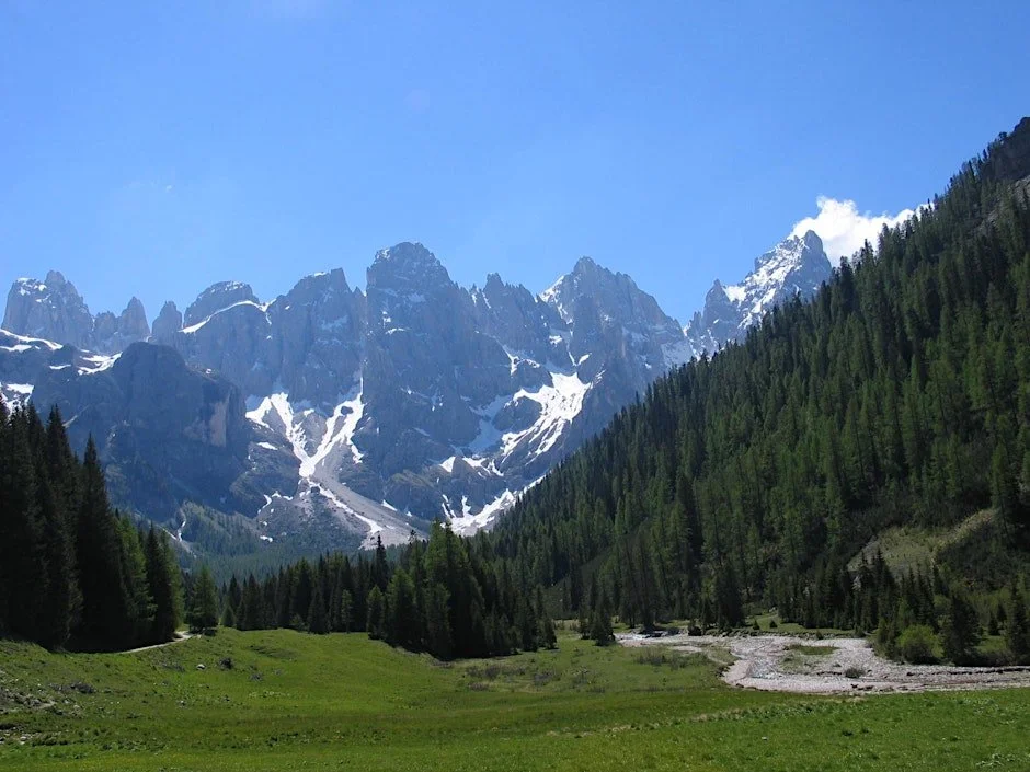 From the Forest to the Concert Hall