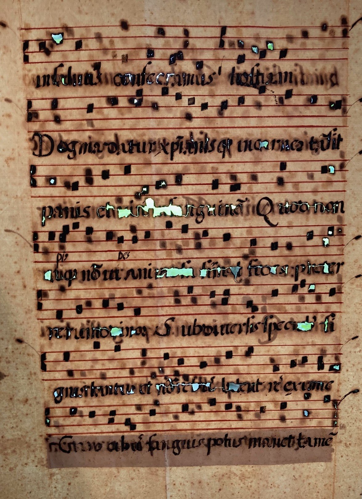 Music with ink damage (c. 17th century) Iron gall ink can be quite acidic in nature and over time it can corrode and leave holes in paper like this piece of 17th century music. Held in the Kinney Center’s rare book collection.