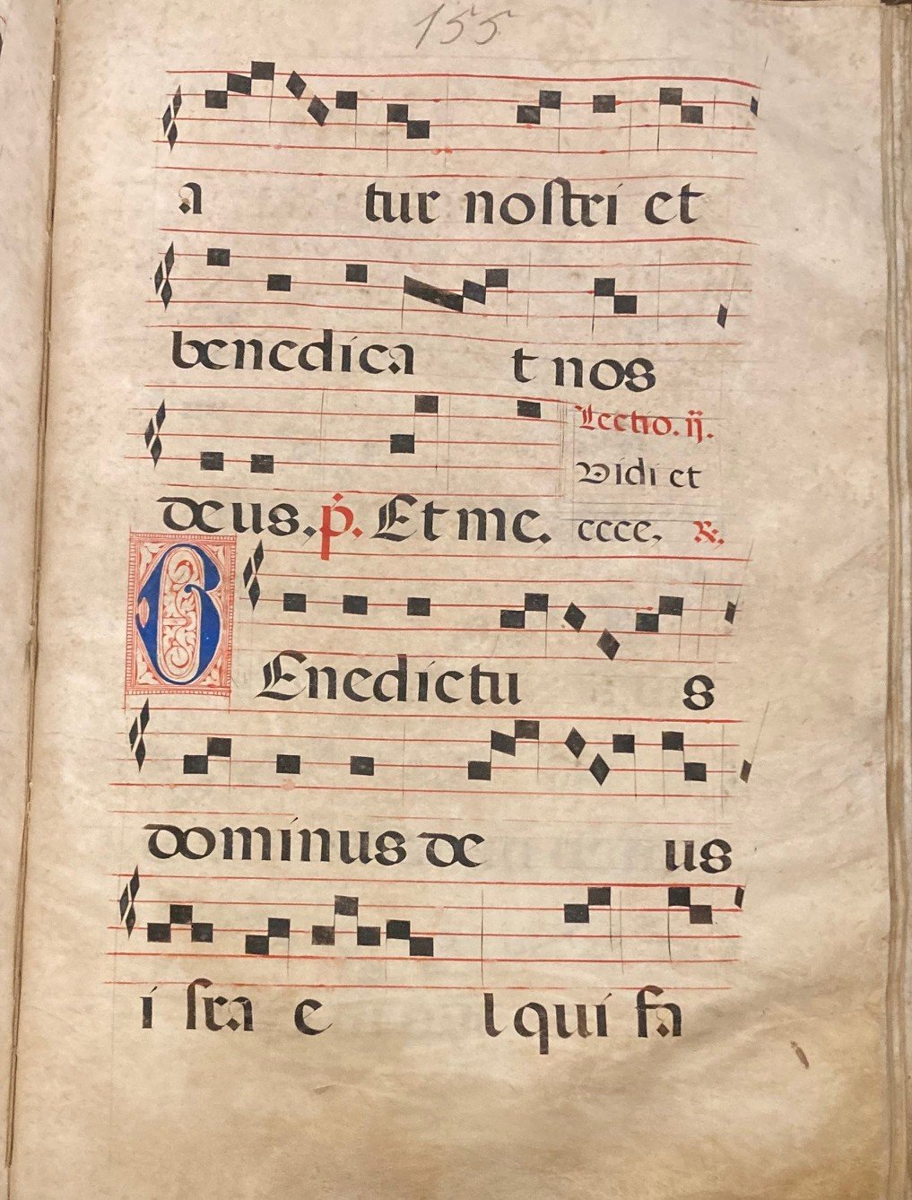 Antiphonal (c. 17th Century) This Italian antiphonal is meant to be viewed by the entire choir and is a good example of manuscript on parchment. Parchment, like vellum, is animal skin that has been cleaned, dehaired, stretched, and dried to create a