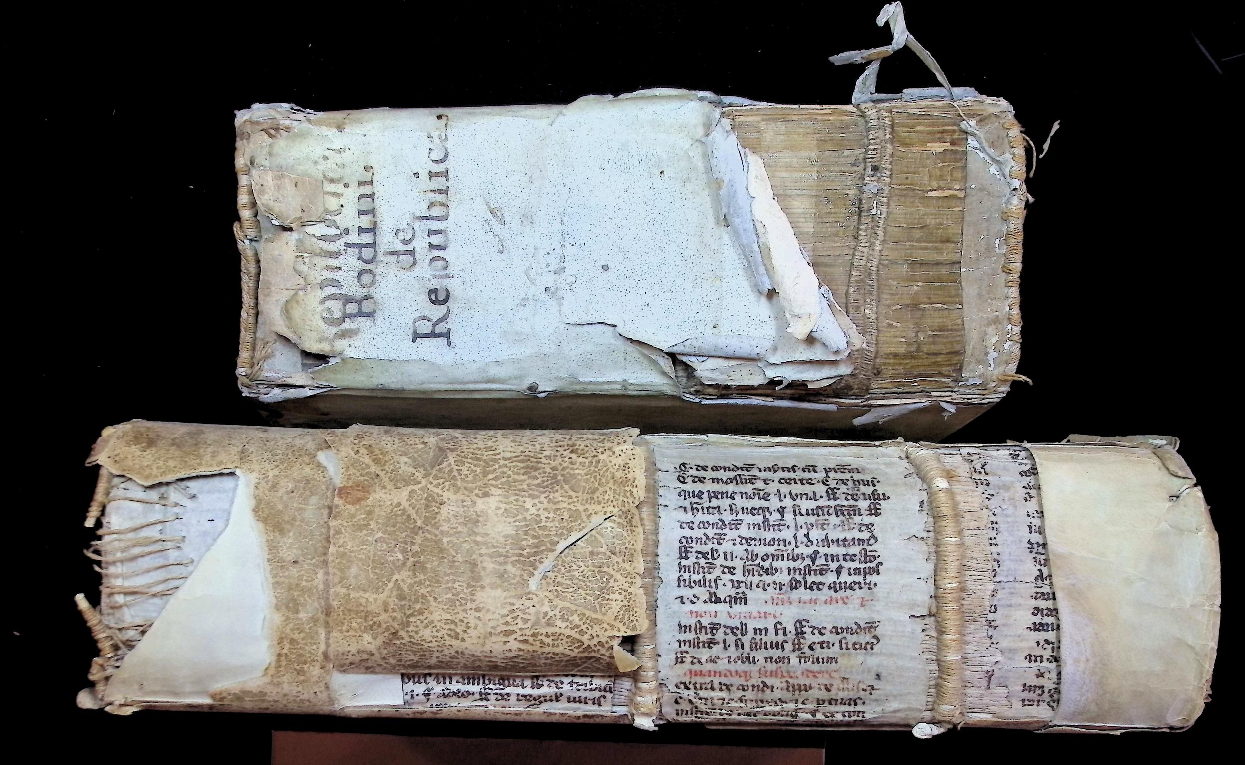 Jean Bodin, De republica (1594) Paolo Giovio, La prima parte dell'historie del svo tempo (1558) Vellum (calfskin, treated and scraped but not tanned) was often used in book binding and sometimes for printing. Here, we see that the vellum bindin