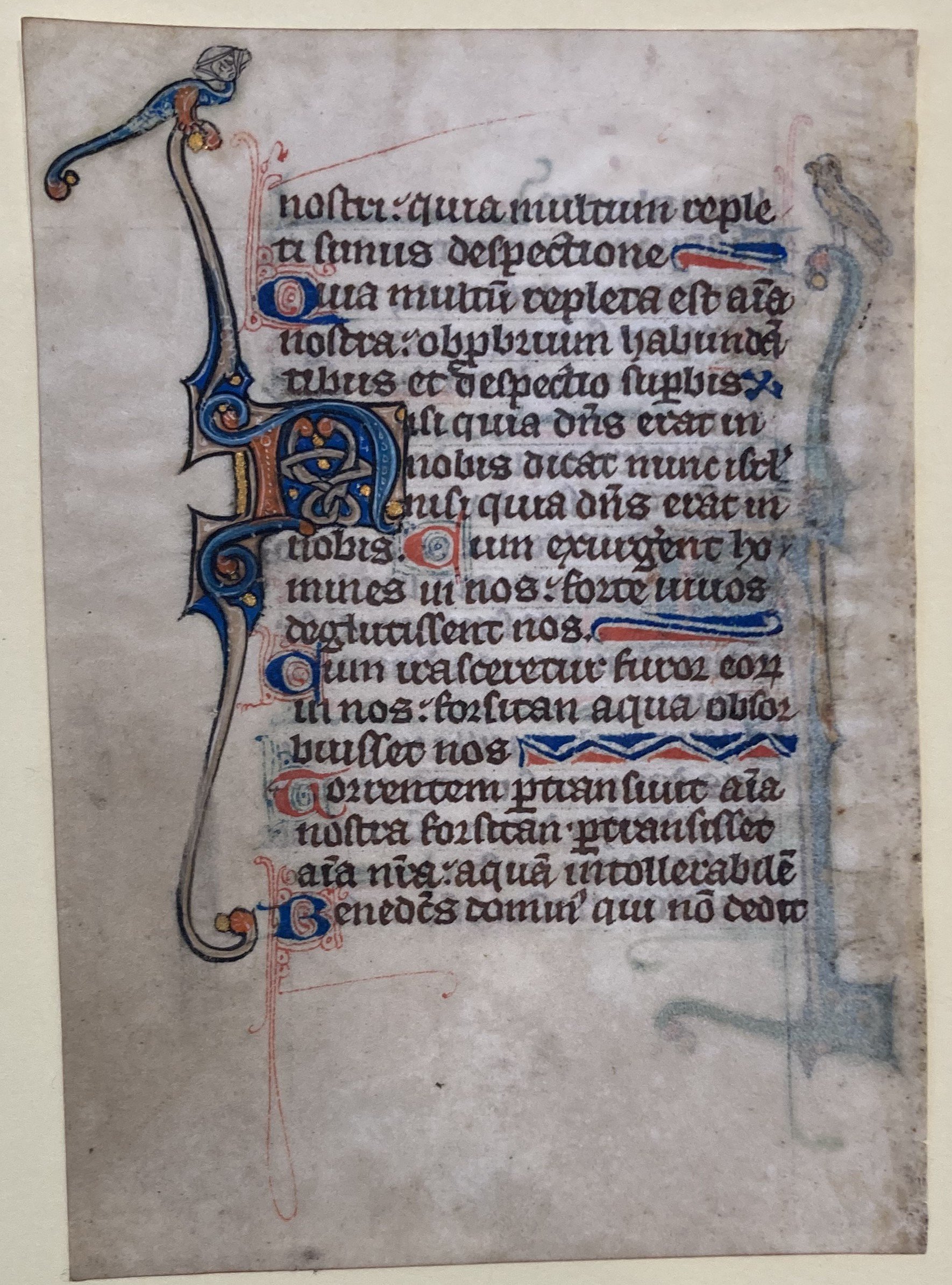 French Book of Hours (c. 1375) This single leaf from the Book of Psalms is written in Latin. The writing and decoration were done entirely by hand. Held in the Kinney Center’s rare book collection.