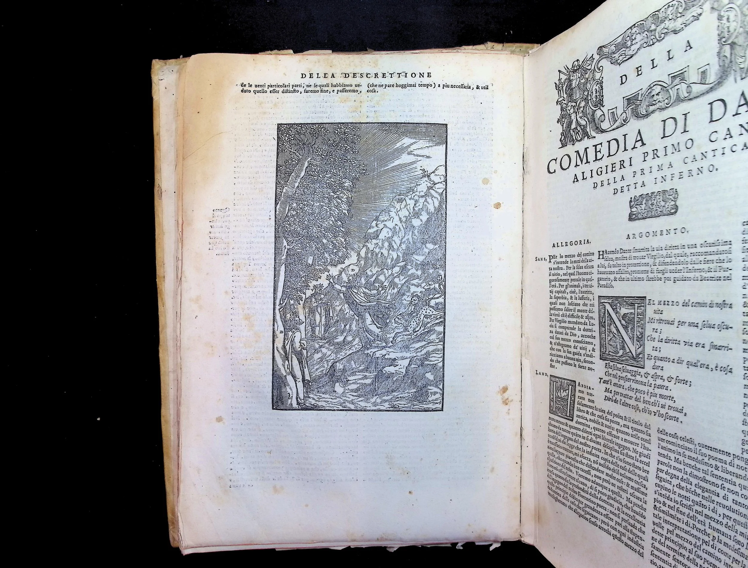 Dante (1564) .jpg
