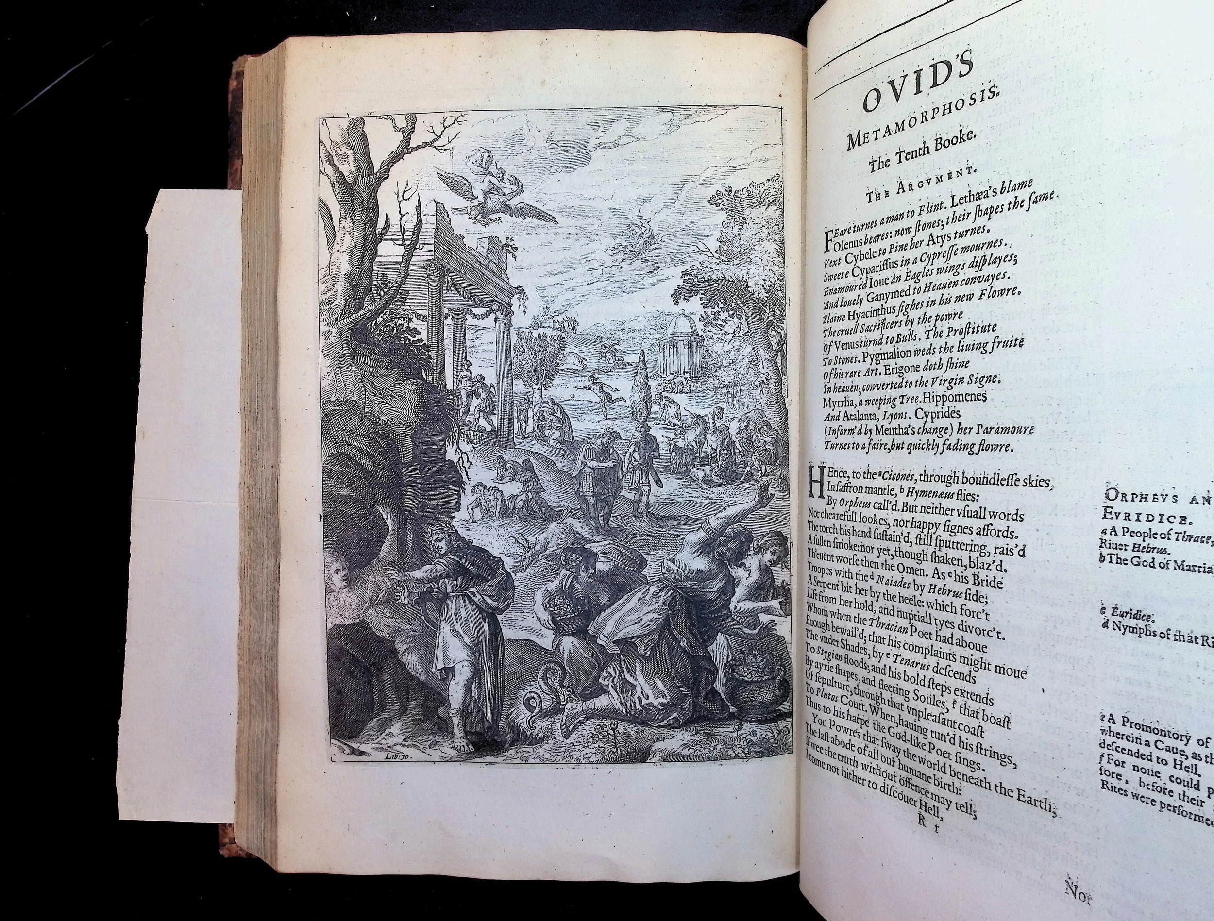 Ovid (1632) 2.jpg