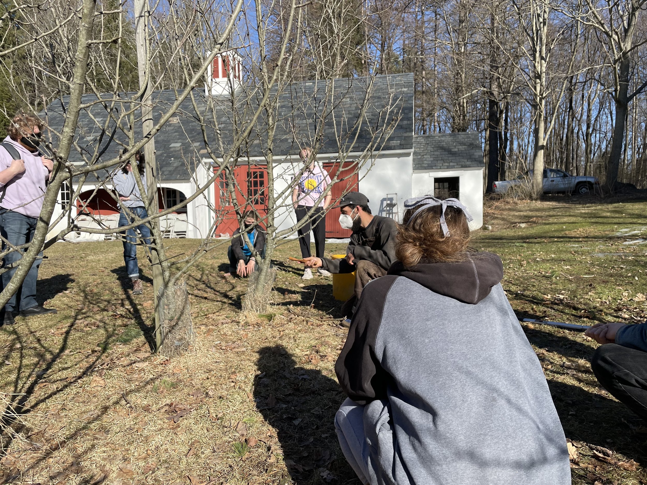 Local orchardist, Matt Kaminsky, leads UMass students in a pruning workshop to prepare the Center’s orchard for spring.