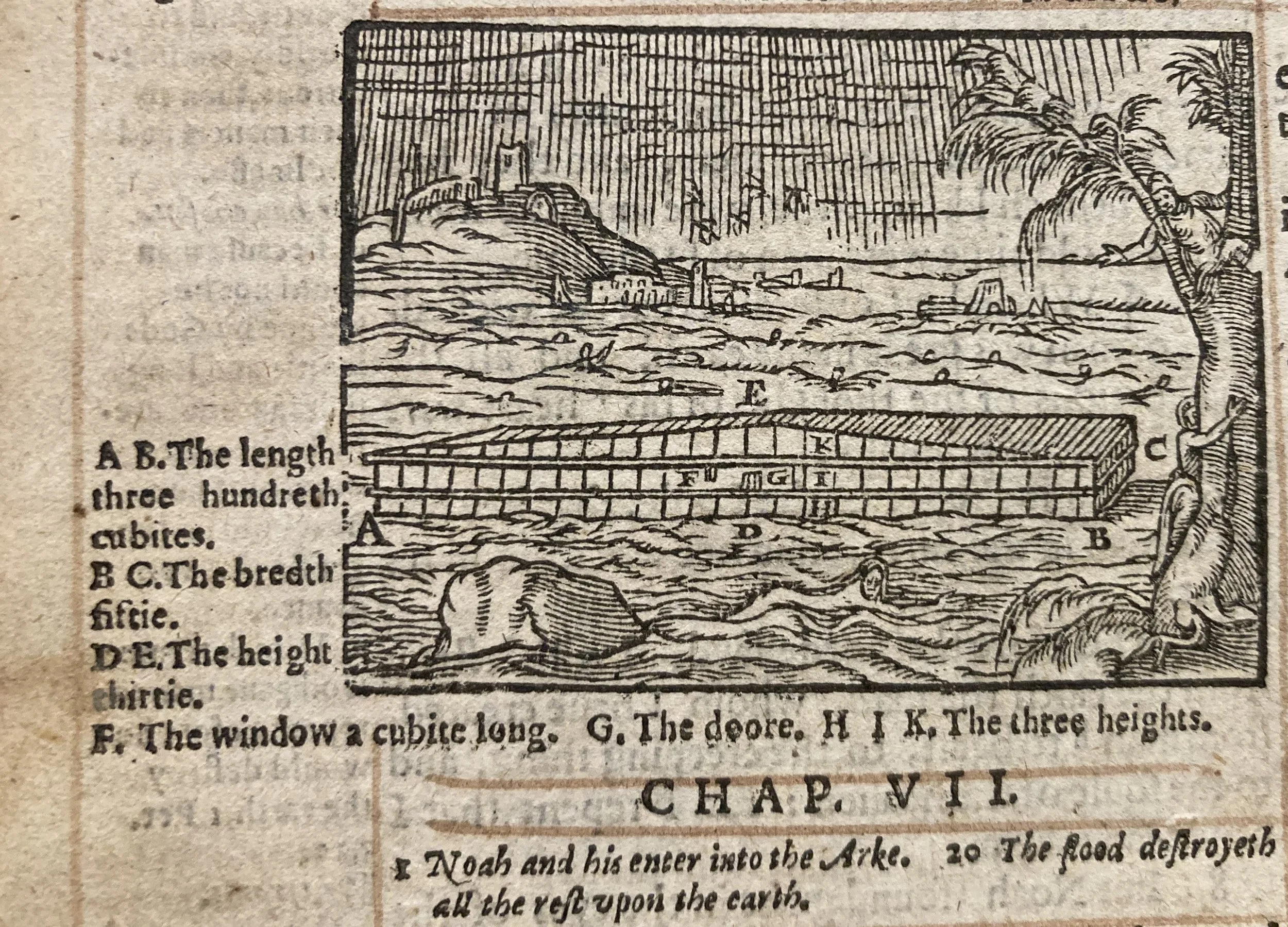 Geneva Bible (1594) In the book of Genesis’ account, the universal flood symbolizes a catastrophic disruption of Earth's ecological balance, where water floods the land, wiping out all life forms, except for Noah, his family, and the animals preserv