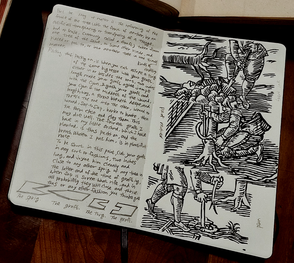 Grafting as Method: Art, Repair, &amp; the Archive