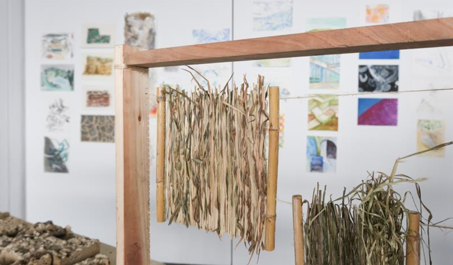 Sharing News | Butterfly Pavilion Residency Presentations